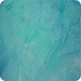 Metallic Color Pigments